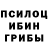 Псилоцибиновые грибы ЛСД H H20