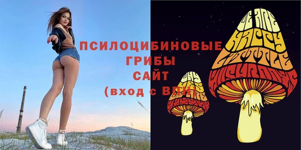 ALPHA PVP Заволжье