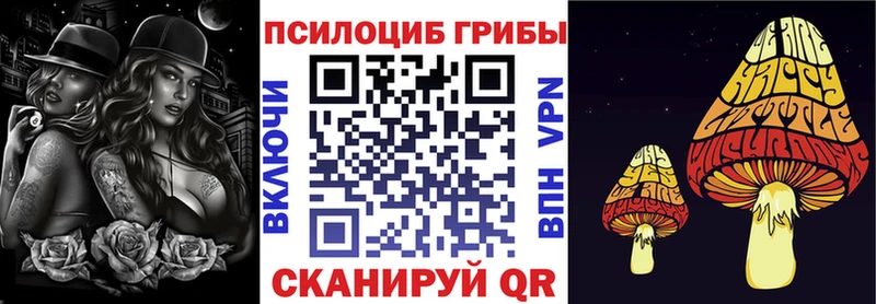 Галлюциногенные грибы прущие грибы  Купить где  Котовск 